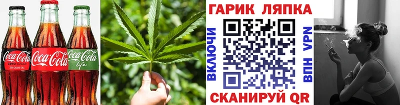 мориарти как зайти  Игарка  Cannafood конопля 