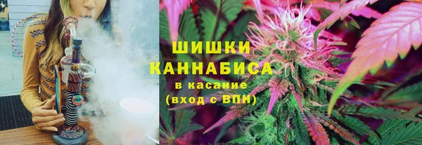 ALPHA-PVP Надым