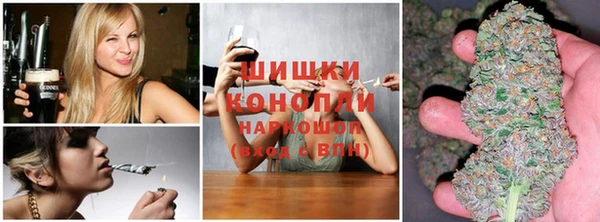 сатива Алагир