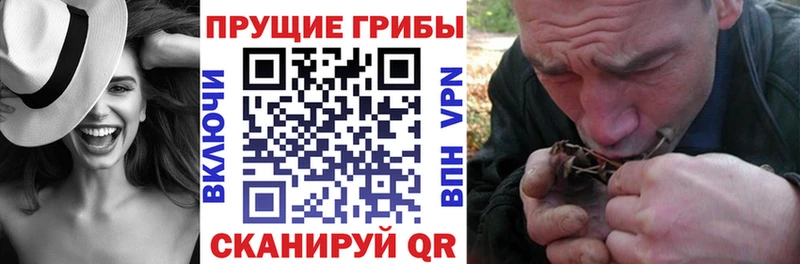 гидра вход  Игарка  Галлюциногенные грибы GOLDEN TEACHER  цена наркотик 